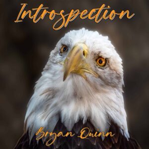 Introspection (Single) Digital Download
